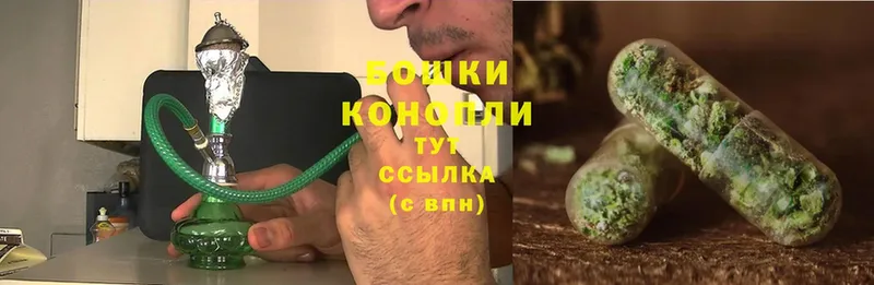 Конопля OG Kush  Жердевка 